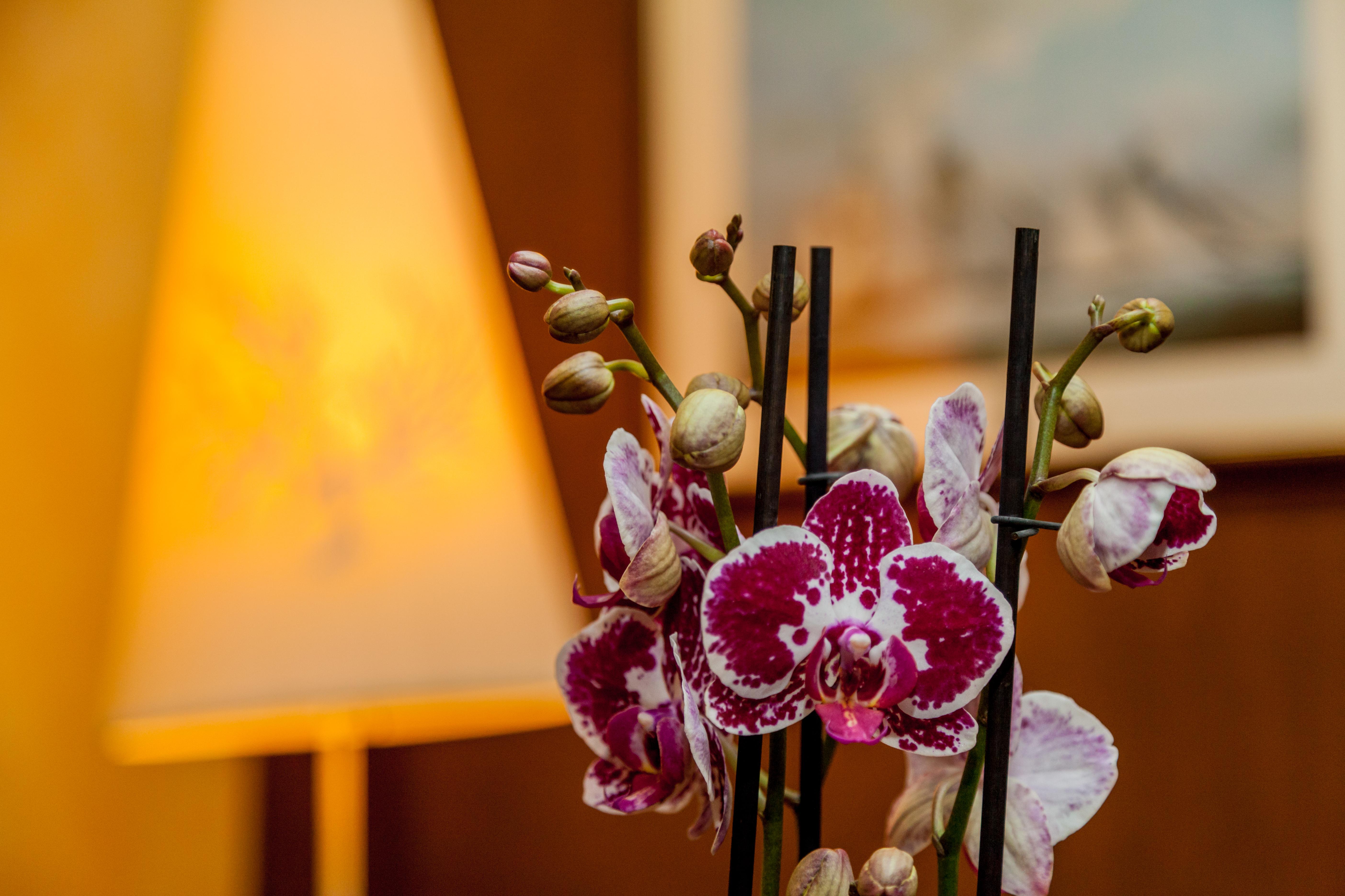 La Vecchia Fonte Boutique 4*